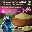 น้ำกระท่อมสกัด (Red Hippo Energy Shot)