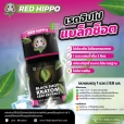 น้ำกระท่อมสกัด (Red Hippo Kratom Black Shot)